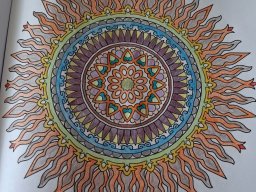 whatsapp bild 2025-03-25 um 12.35.25_81b246fc